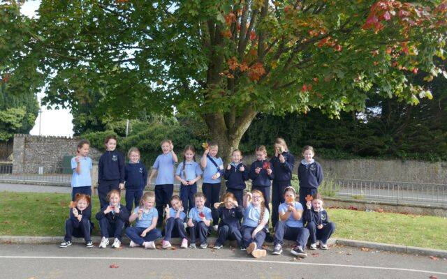 National Tree Day