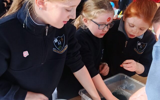 3rd Class at the 6th class Science Fair. We saw some very interesting science experiments!