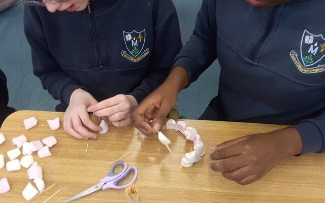 STEM – Marshmallow Igloos