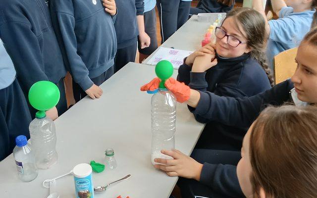 Science Fair